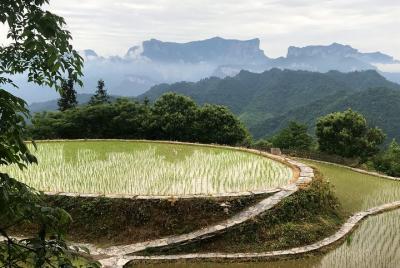 4 días de lo más destacado de Zhangjiajie con vista a la terraza de arroz (posada destacada seleccionada a mano) 4 días de lo más destacado de Zhangjiajie con vista a la terraza de arroz (posada destacada seleccionada a mano)