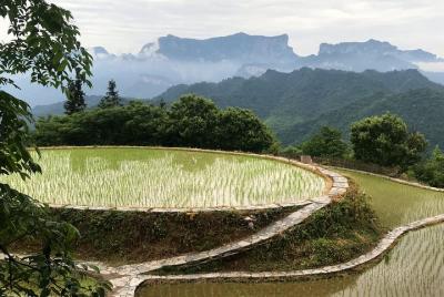 4 días Zhangjiajie Highlights con Rice Terrace Tour (Classical Boutique Hotel) 4 días Zhangjiajie Highlights con Rice Terrace Tour (Classical Boutique Hotel)