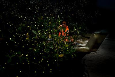 Kuala Selangor Fireflies - Batu Caves Temple- Malawati Hill DayTo