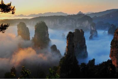 Excursión privada de día completo al Parque Nacional Zhangjiajie con almuerzo Excursión privada de día completo al Parque Nacional Zhangjiajie con almuerzo