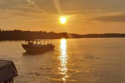 Noche resplandeciente: recorrido por las luciérnagas de Kuala Sel