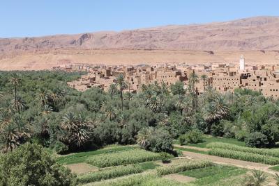 Excursión privada a Todgha Gorge desde Ouarzazate Excursión privada a Todgha Gorge desde Ouarzazate