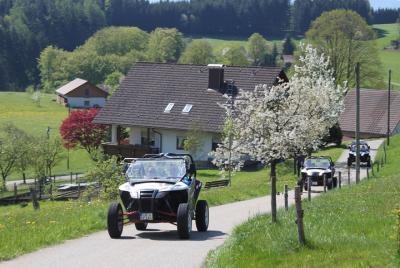 Vogesen / Elsässer Weinstraße 4x4 Offroad