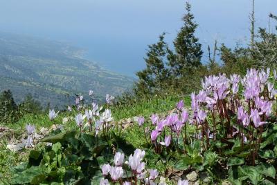 Tour de senderismo autoguiado