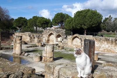 Antigua ciudad de PAPHOS