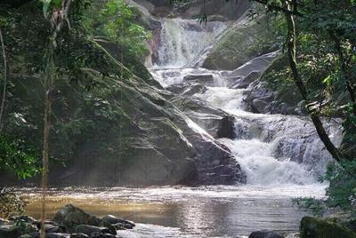 Tour Minca Pozo Azul Y Finca Cafetera.