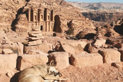 Viajeros de cruceros | Petra y Wadi Rum | Tarifas de admisión y almuerzo incluidos