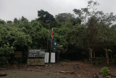 Sirena Overnight tour , dormitar en el bosque será una de sus memorias