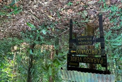 Paraiso verde durante la noche