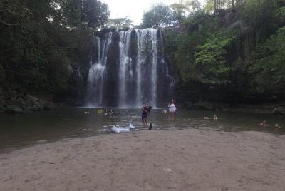 Selva tropical, puentes colgantes y santuario de perezosos en la jungla
