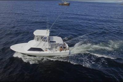 Recorrido de día completo a bordo del LORETTA Recorrido de día completo a bordo del LORETTA