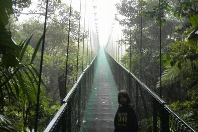 Treetop Hanging Bridges Tour a través del bosque nuboso Treetop Hanging Bridges Tour a través del bosque nuboso