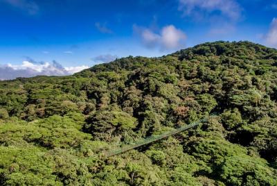 Puentes colgantes y guía turístico desde Monteverde Puentes colgantes y guía turístico desde Monteverde