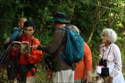 Tour de observación de aves en Monteverde a las 6 a.m. con entradas y desayuno Tour de observación de aves en Monteverde a las 6 a.m. con entradas y desayuno