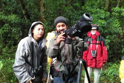 Tour de observación de aves Tour de observación de aves