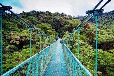 Tour de puentes colgantes Tour de puentes colgantes