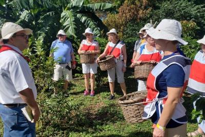 Tour a las cataratas y cafés Llanos del Cortez desde Guanacaste