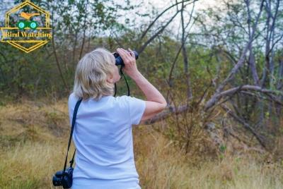 Excursión de avistamiento de aves a primera hora de la mañana Excursión de avistamiento de aves a primera hora de la mañana