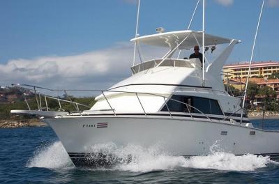 Excursión de medio día de pesca deportiva desde la playa Flamingo Excursión de medio día de pesca deportiva desde la playa Flamingo