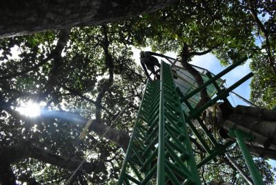 Aventura con la propuesta Savia Experience Monteverde Aventura con la propuesta Savia Experience Monteverde