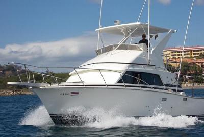 Pesca deportiva de medio día o día completo en Flamingo Beach desde Playa Hermosa, Coco Beach