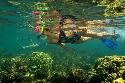 Excursión en kayak y buceo desde Playa Flamingo Excursión en kayak y buceo desde Playa Flamingo