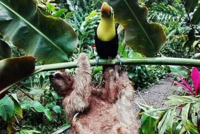 Tour combinado de la vida salvaje Tour combinado de la vida salvaje