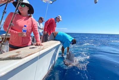 Experiencia en yate privado con snorkel y deportes acuáticos Experiencia en yate privado con snorkel y deportes acuáticos