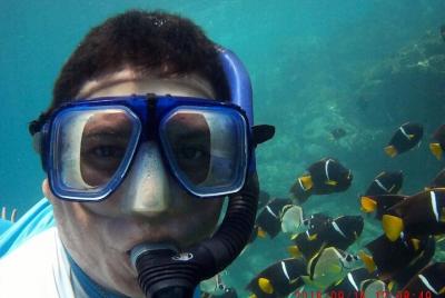 Tour privado de vela y esnórquel por la mañana