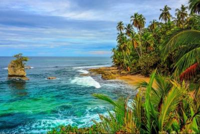 Traslado privado: desde el aeropuerto de Liberia a Andaz Papagayo Traslado privado: desde el aeropuerto de Liberia a Andaz Papagayo