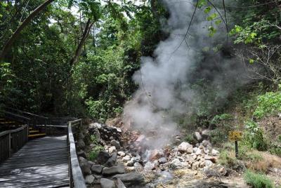 Tour extremo de canopy todo el día