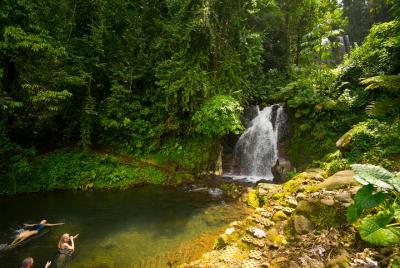 Tour de Baños de Barro y Aguas Termales en Rincón de la Vieja