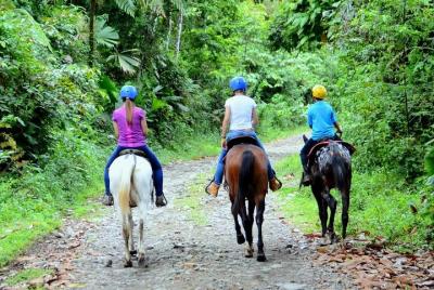 Cabalgata, caminata en cascada y rafting clase II y III desde La Fortuna-Arenal