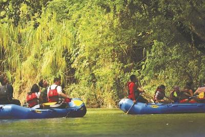 Recorrido en bote por el Safari en la Vida Silvestre de la Naturaleza desde La Fortuna-Arenal