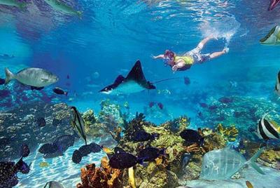 Excursión en barco a las exóticas cuevas con buceo de superficie desde Playas del Coco