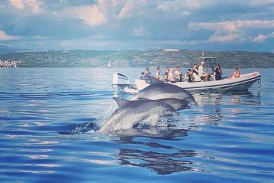 Tour a la Cueva Azul y 6 islas desde Trogir y Čiovo Tour a la Cueva Azul y 6 islas desde Trogir y Čiovo