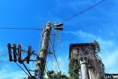 Tour privado a pie por Dubrovnik - Calles escondidas del casco an