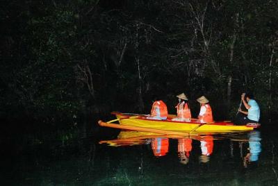 Tour de observación de Firefly de Puerto Princesa