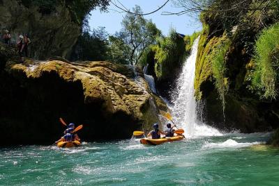 Safari en kayak Safari en kayak
