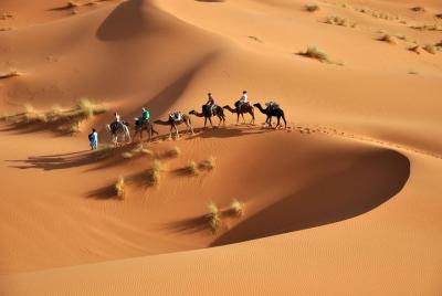 Merzouga Tour de 3 días / 2 noches desde Marrakech Merzouga Tour de 3 días / 2 noches desde Marrakech