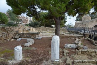 Excursión en tierra desde Limassol