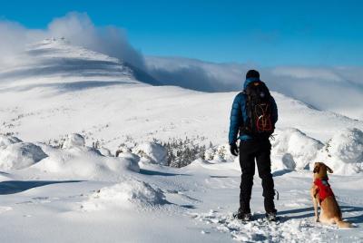 Excursión de un día al Parque Nacional Krkonoše con raquetas de nieve desde Praga con un líder de montaña