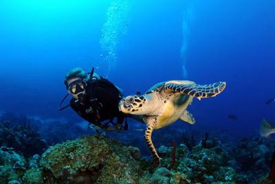 Prueba el buceo (Discover Scuba Diving)