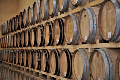 Cata de vinos y tours