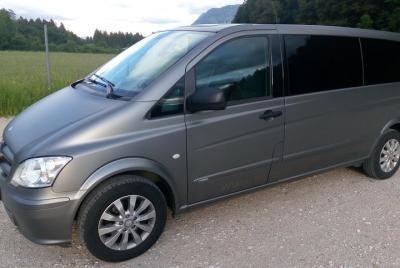 Traslado privado desde Cesky Krumlov a Viena