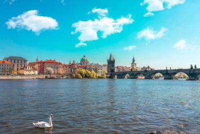 Traslado privado al aeropuerto: Aeropuerto de Praga Vaclav Havel (PRG) a Praga