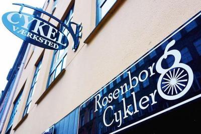 Alquiler de bicicletas en Copenhague / bicicleta estándar 6 horas