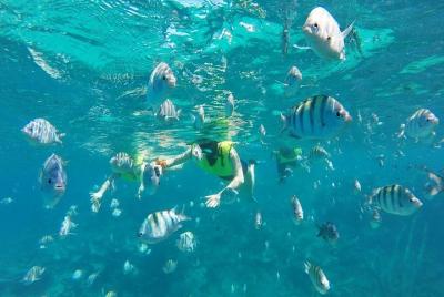 Descubre el día submarino de Sosua y el día de la playa Descubre el día submarino de Sosua y el día de la playa