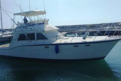 Pesca de altura en Sosua