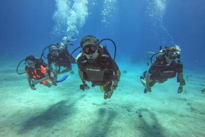 Excursión de día completo con buceo de superficie en la Isla Catalina desde La Romana
